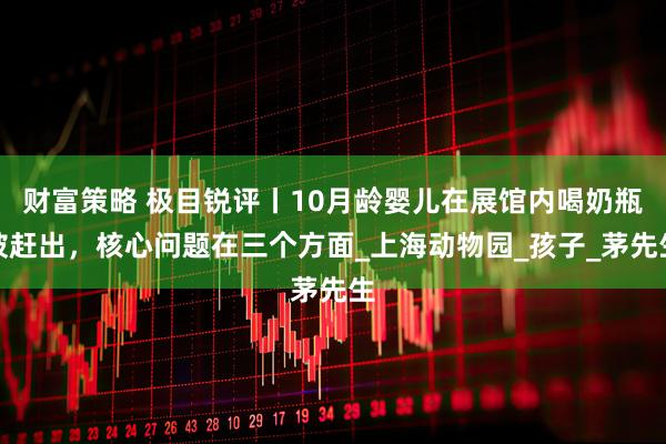 财富策略 极目锐评丨10月龄婴儿在展馆内喝奶瓶被赶出，核心问题在三个方面_上海动物园_孩子_茅先生
