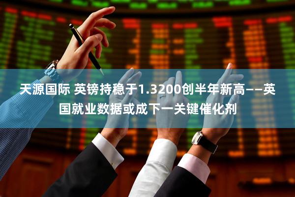 天源国际 英镑持稳于1.3200创半年新高——英国就业数据或成下一关键催化剂